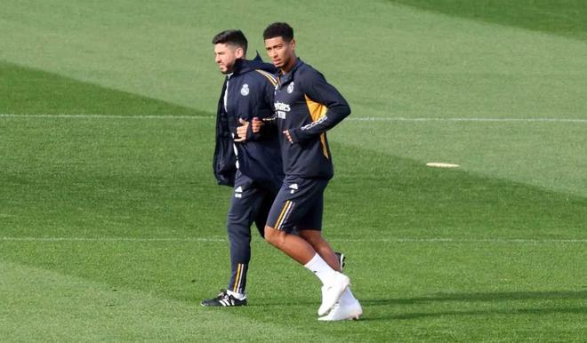 红蓝相间的 红蓝相间的