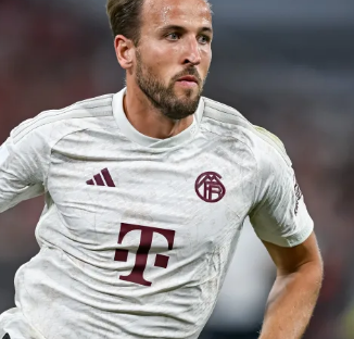 赛季的表现 赛季的表现